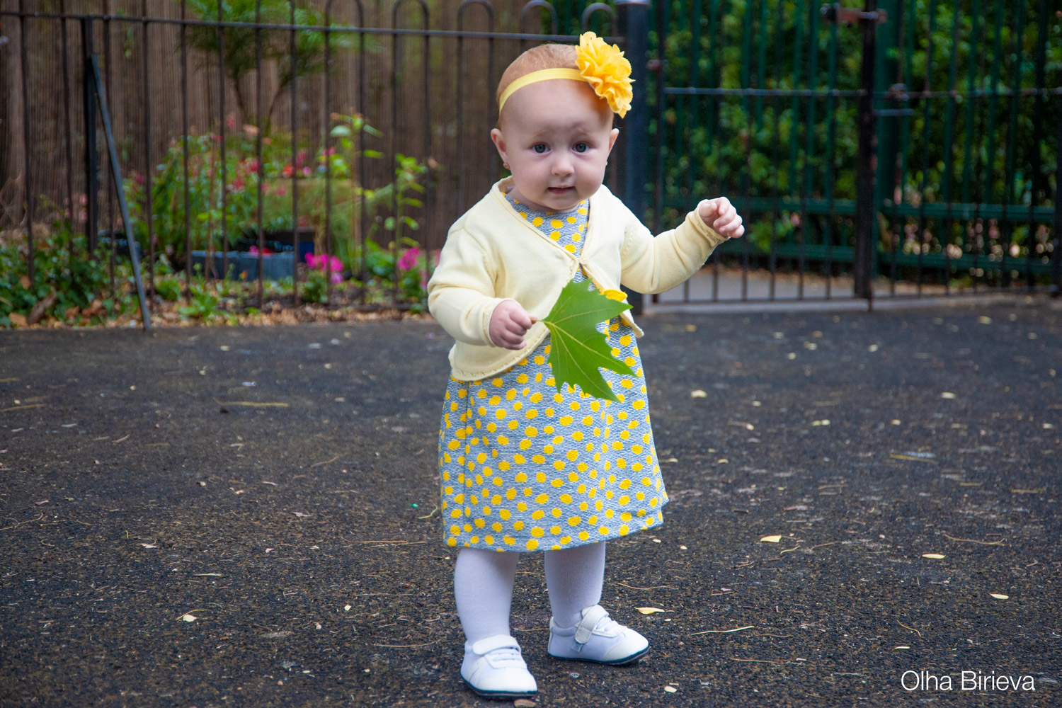 Toddler photo