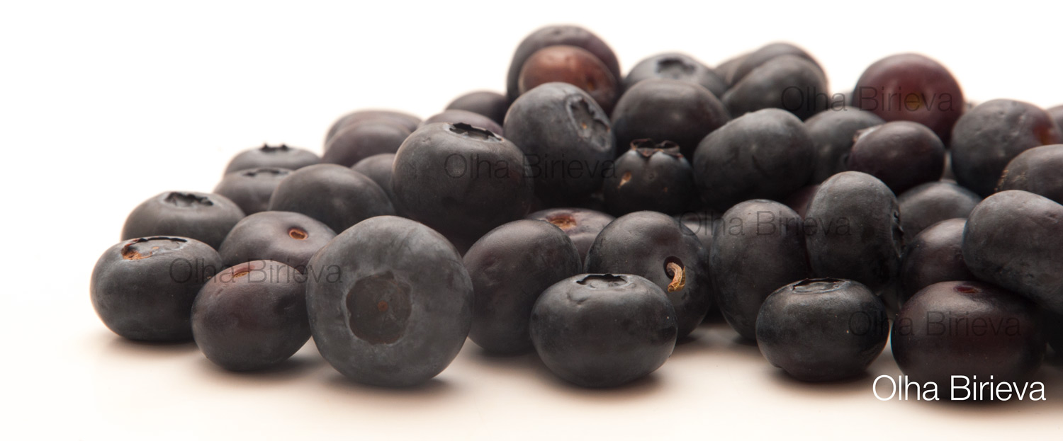 Blueberries on white background